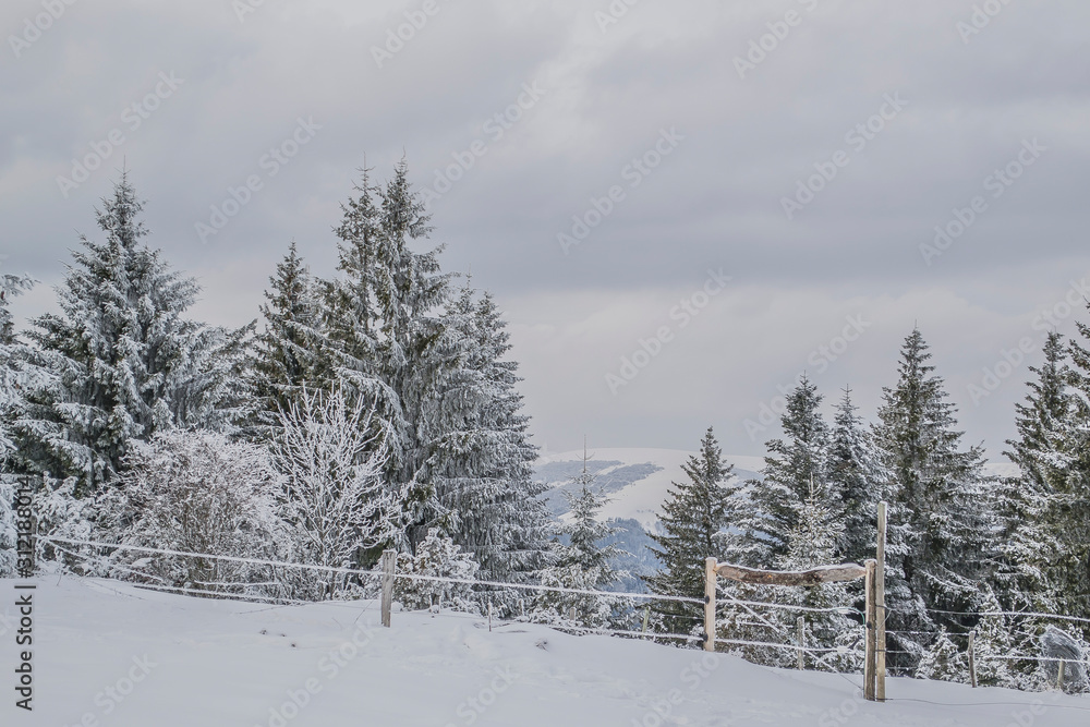 Sommet du Hilsenfirst, Vosges