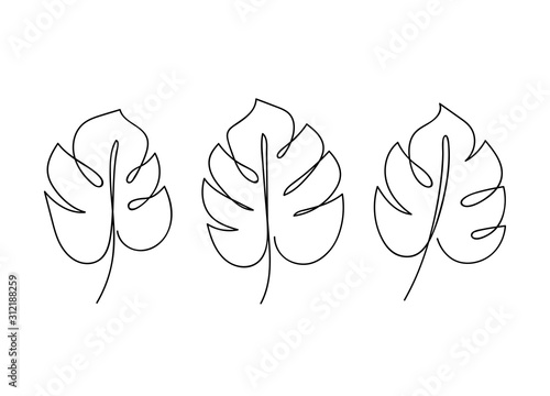 Set of hand drawn monstera leaves. Line art. Contour drawing. Minimalism. Modern decor.