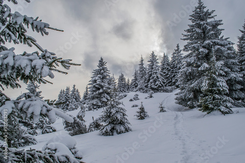 Sommet du Hilsenfirst, Vosges