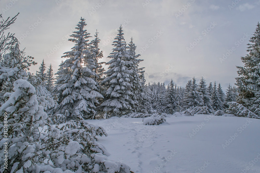 Sommet du Hilsenfirst, Vosges