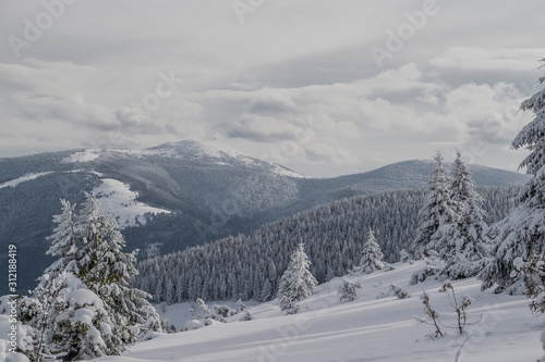 Sommet du Hilsenfirst, Vosges