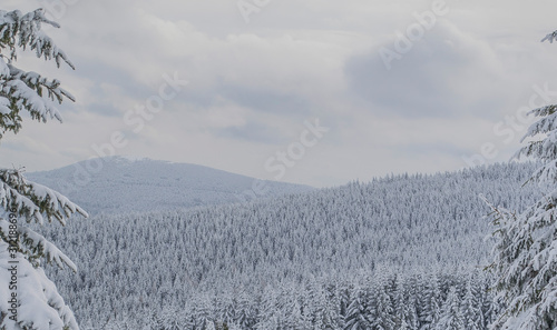 Sommet du Hilsenfirst, Vosges