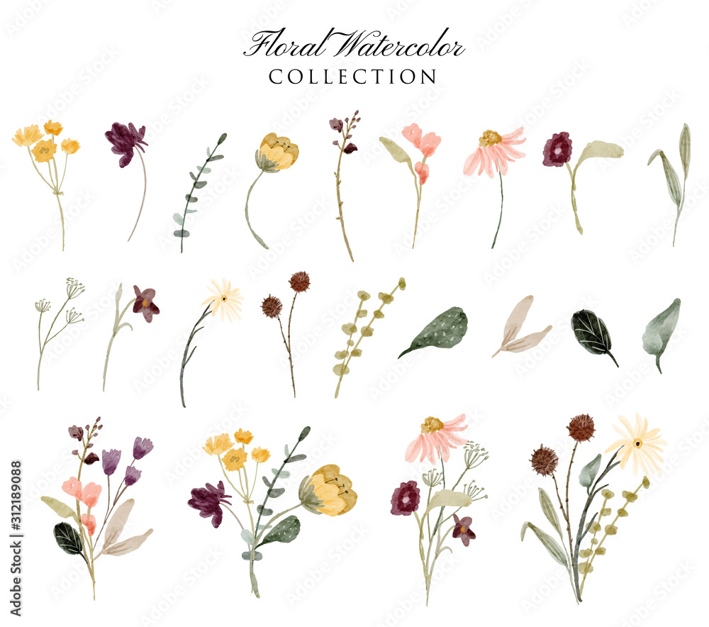 floral garden watercolor collection