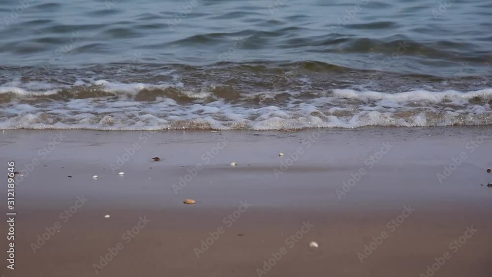 The waves hit the beach The waves hit the beach