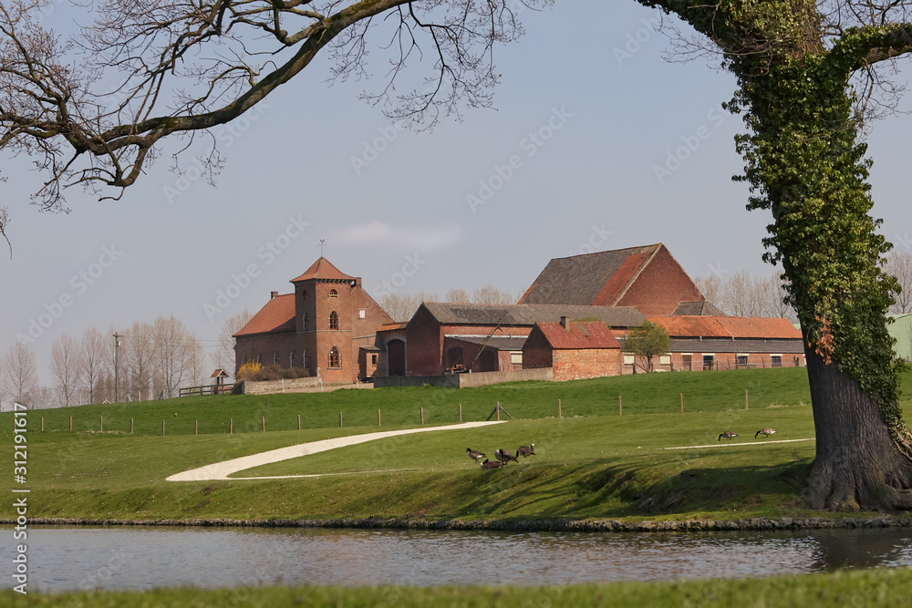Landscape of park with ducks, lake and farm in the background Landscape of park with ducks, lake and farm in the background