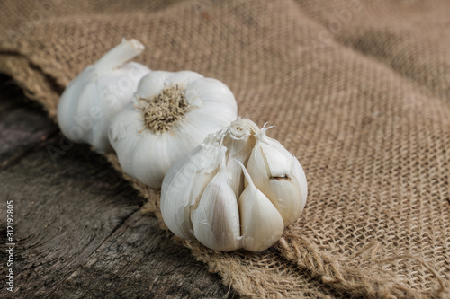 Knoblauch (lat. Allium sativum) auf Holz und Jute photo