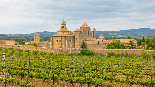 View over vineyard to monastery of Poblet in Spain in summer photo