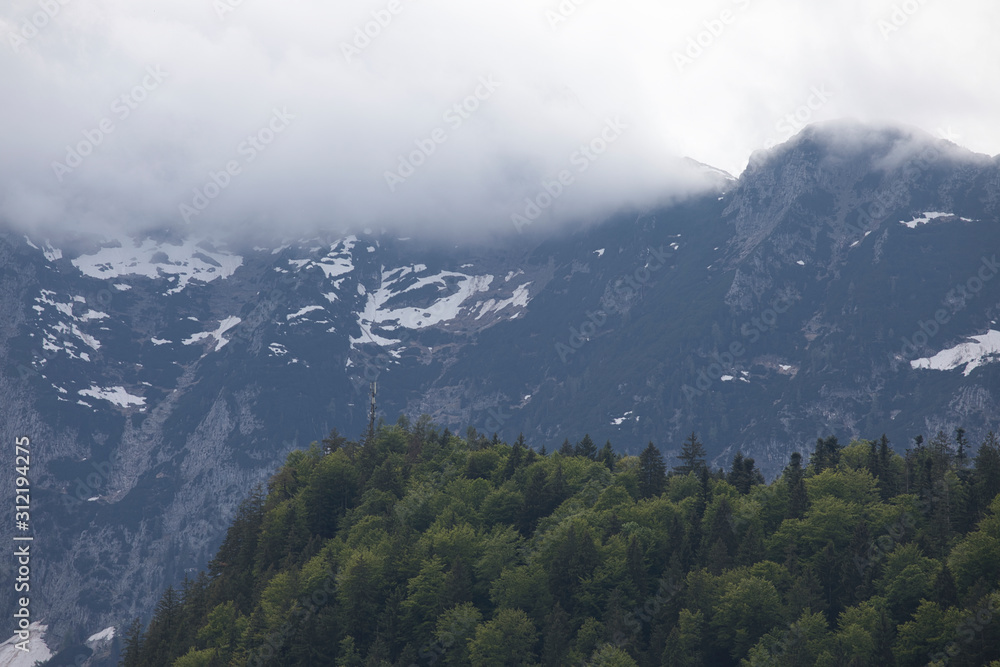 Wolkige Nebelige Berglandschaft mit hohen Tannen/Bäumen