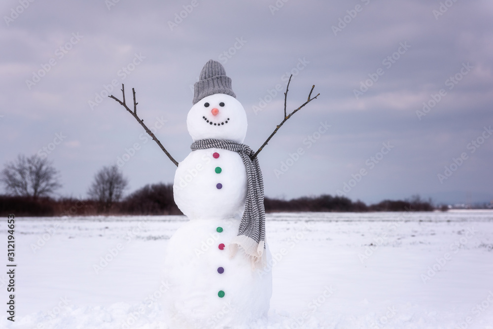 Obraz premium Lovely smiling snowman, against cloudy sky background, happy winter concept