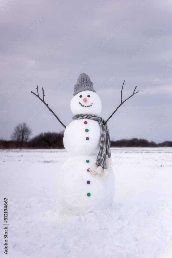 Lovely smiling snowman, against cloudy sky background, happy winter concept, vertical image