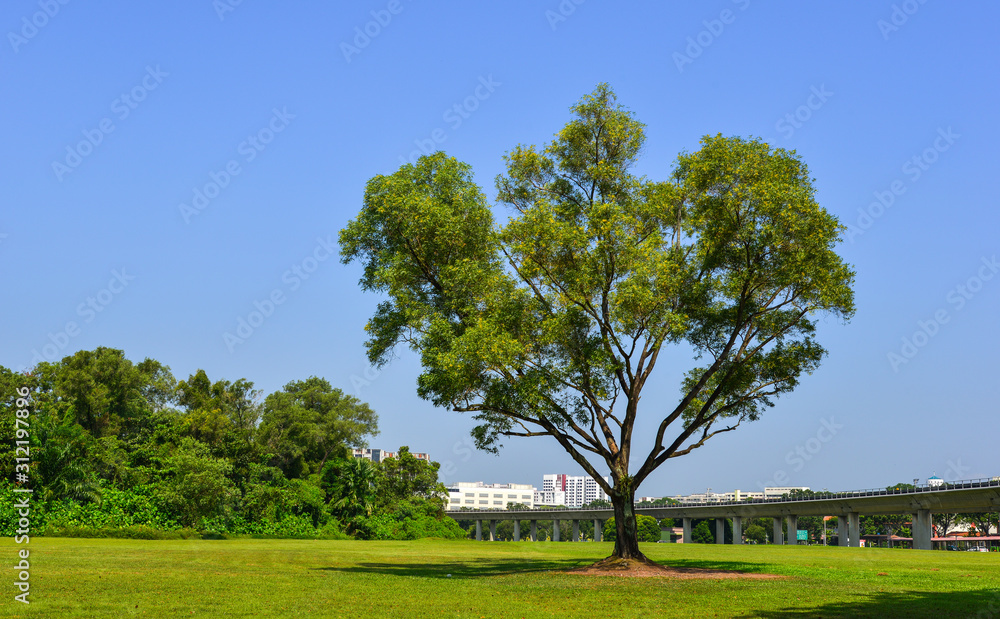 Public park in Singapore Downtown