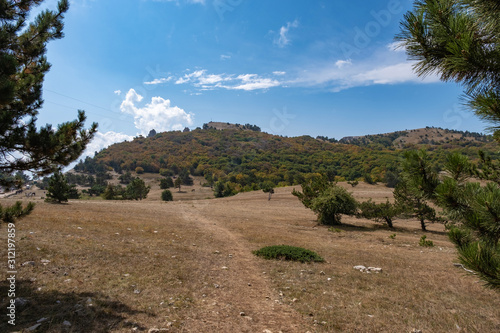 Panorama of the Ai-Petri plateau with low pines on a cloudy sunny day.
