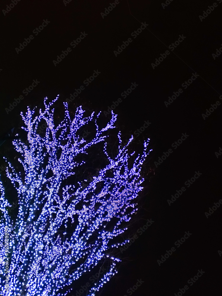 樹木のled電飾ライトアップ1 Stock Photo Adobe Stock 樹木のled電飾ライトアップ1 Stock Photo Adobe Stock