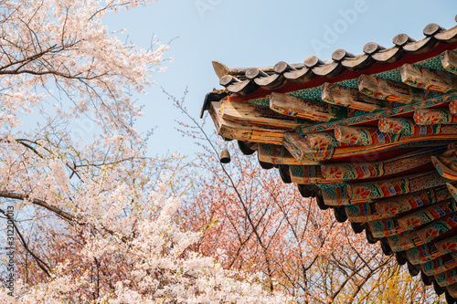 Bilde på lerret Korean traditional eaves with cherry blossoms