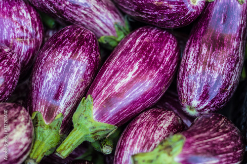 Wallpaper Mural Conjunto de berenjenas moradas. Torontodigital.ca