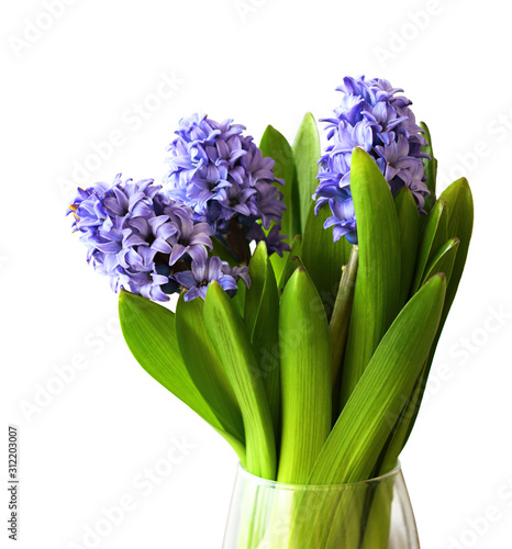 Bouquet of blue hyacinth fl...
