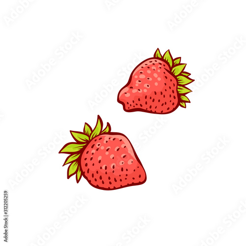 Vector red strawberry sketch set hand drawn line illustration.