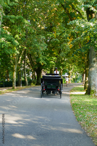 Kutsche mit Pferden fährt in der Lichtentaler Allee in Baden-Baden