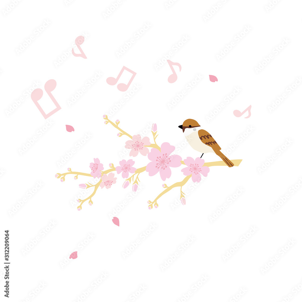 Vector illustration of Cherry blossom and singing sparrow Vector illustration of Cherry blossom and singing sparrow