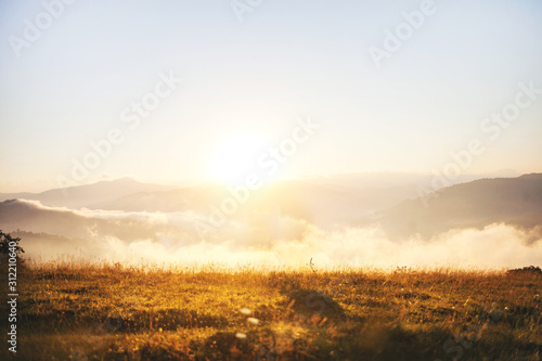 Sunrise Over Golden Meadow Landscape