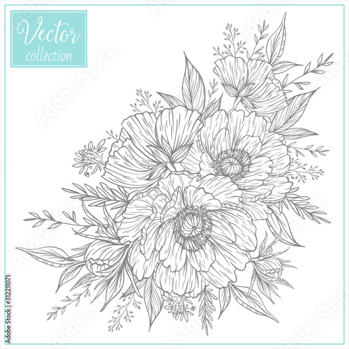 Hand Drawn Botanical Flowers. Vector Collection of Illustrations. Hand sketched vector vintage element. Poppy bouquet