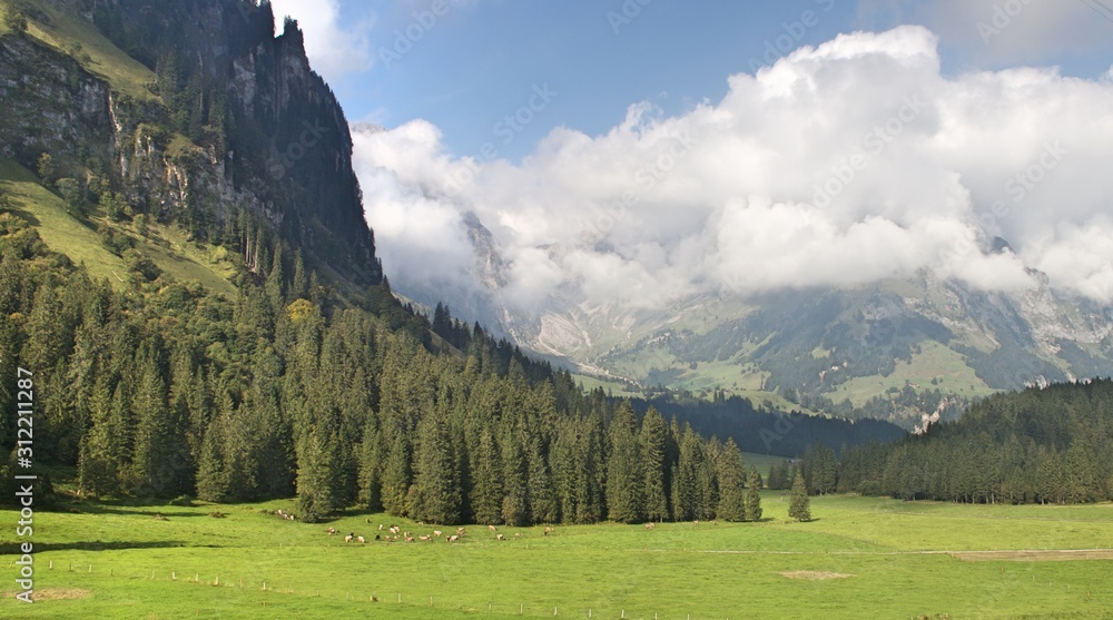Swiss jungfrau Vally