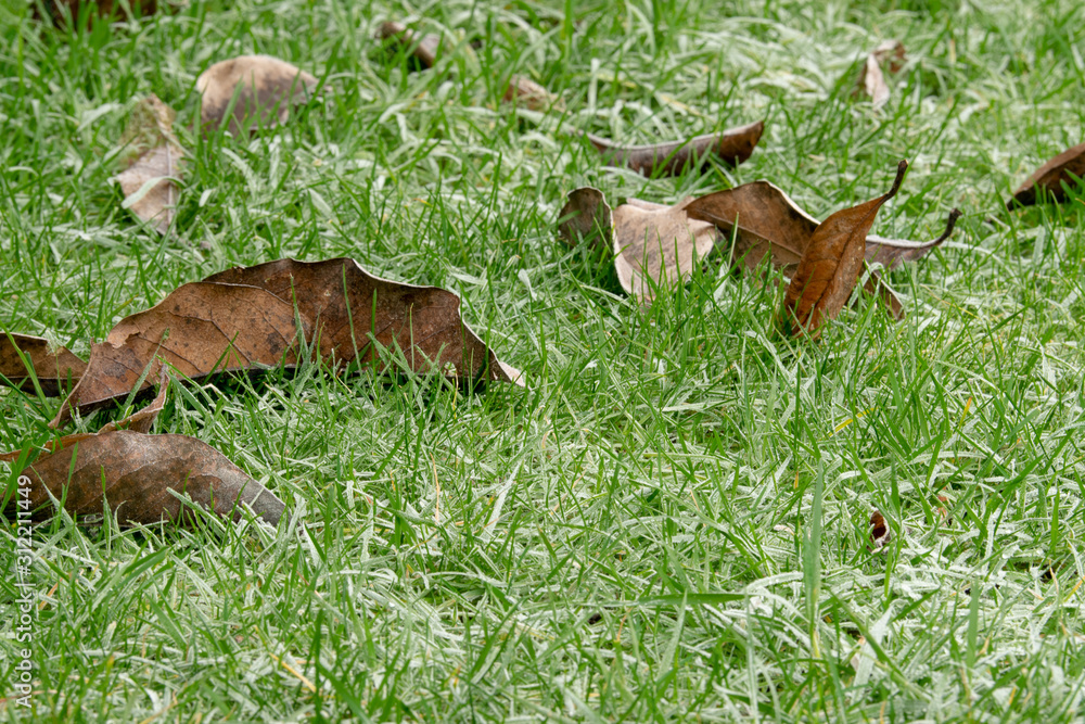 Morgentau im Winter Morgentau im Winter