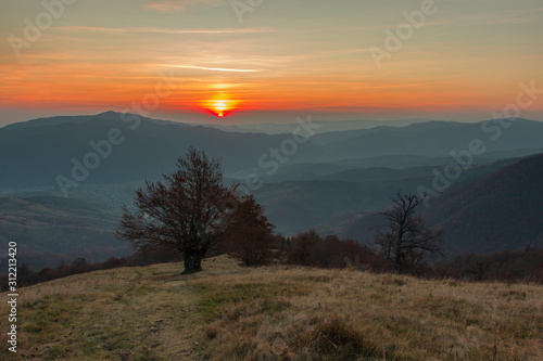 Fine evening in the autumn Carpathians. The tree silhouette with naked branches stands out against a beautiful decline clearly. Mountain landscape with juicy shades of blue, yellow and orange colors. 