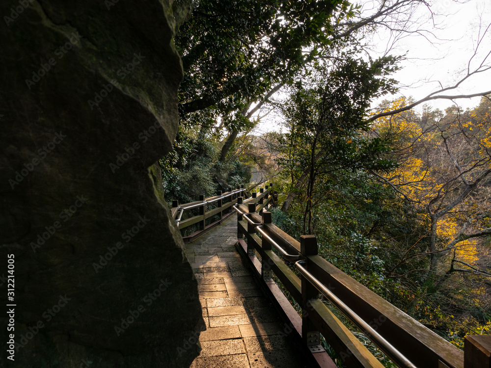 Naklejka premium 천제연폭포 숲길