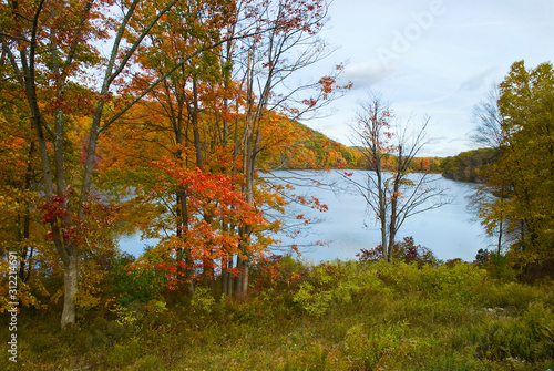Autumn Lake View