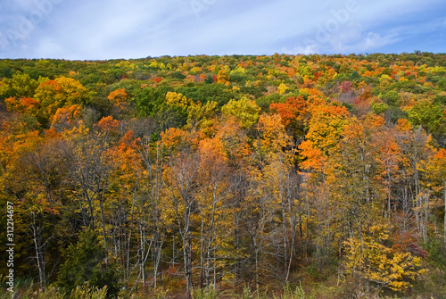 Fall Hillside