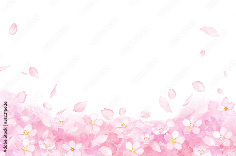 春の花：さくらと散る花びらの背景フレーム　水彩イラスト