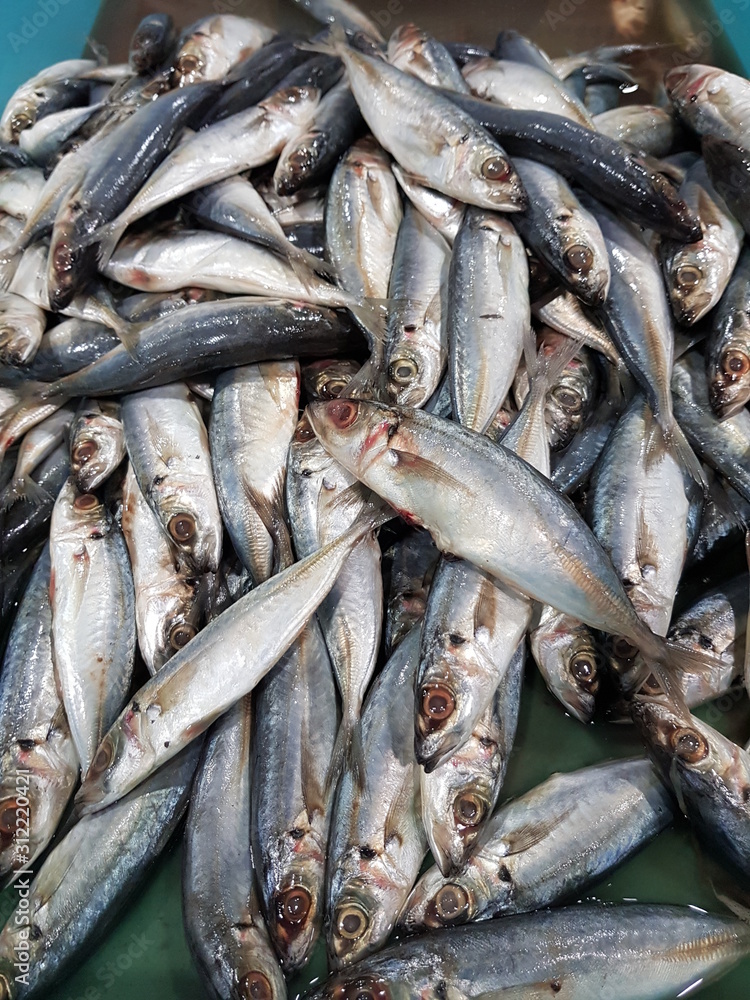 Obraz premium fresh sardine fish at the market