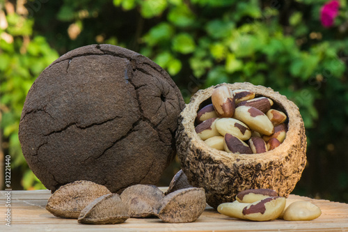 Fruit of Brazil nuts (Bertholletia excelsa) and their precious chestnuts photo