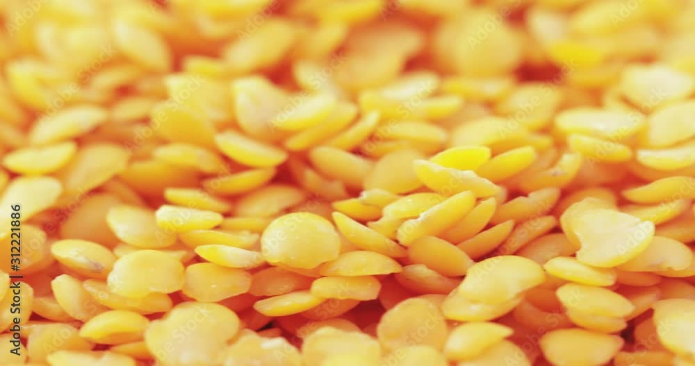 Lentil Persian bulk Lentil Persian bulk