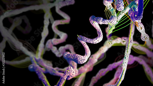Fotografie Chain of amino acid or biomolecules called protein - 3d illustration