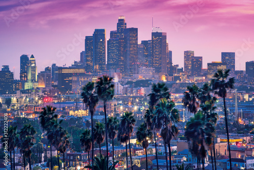 Amazing sunset view with palm tree and downtown Los Angeles. California, USA © maramas