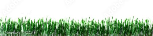 Large Green grass banner concept