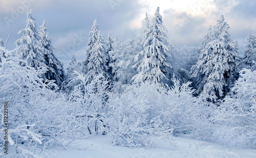 Winterstimmung auf dem Großen Feldberg im Taunus © helmutvogler