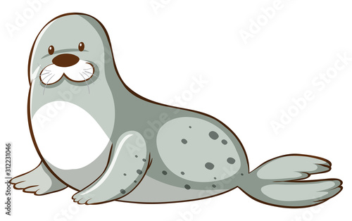 Gray seal on white background