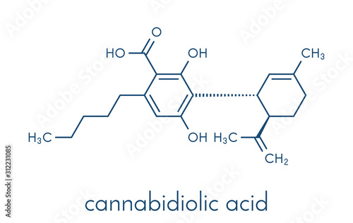 Cannabidiolic acid or CBDA cannabinoid molecule. Skeletal formula. photo
