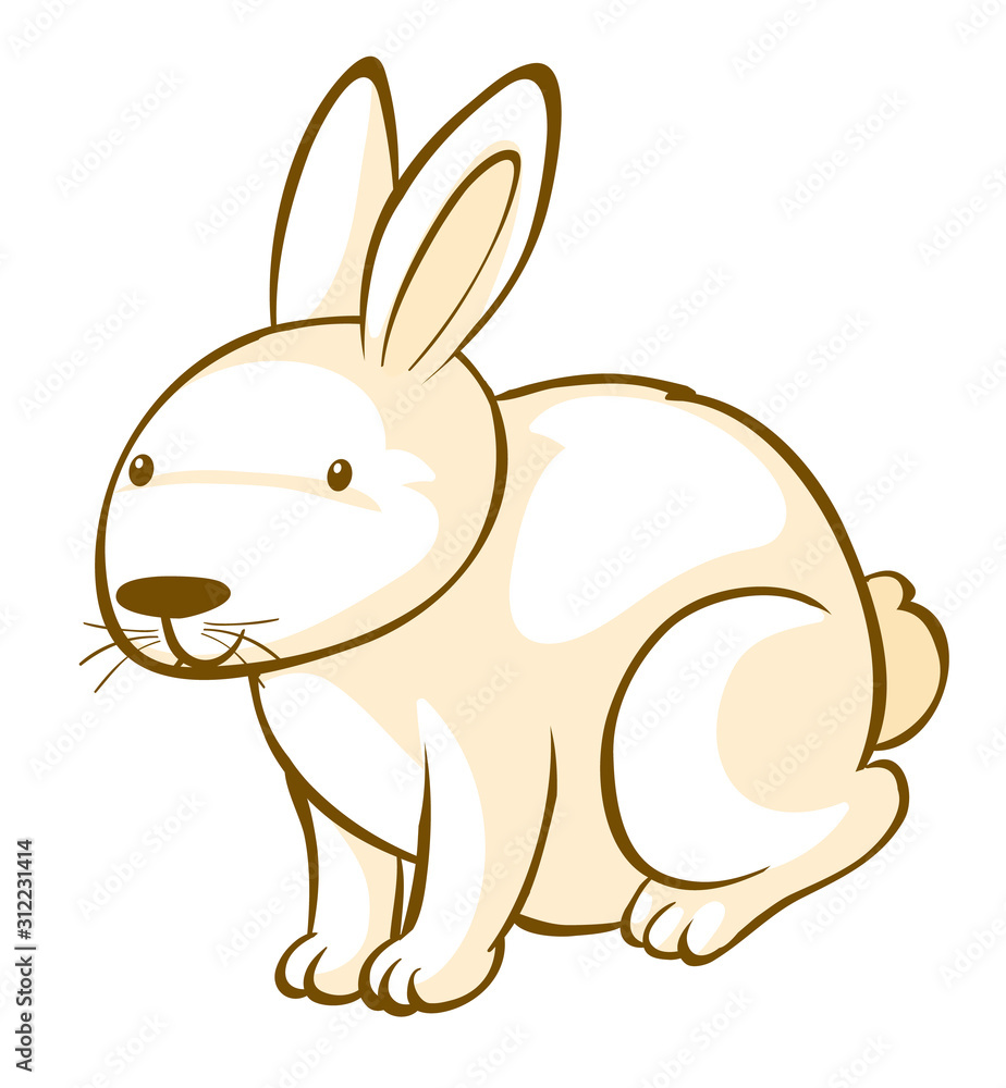 Obraz premium Cute bunny on white background