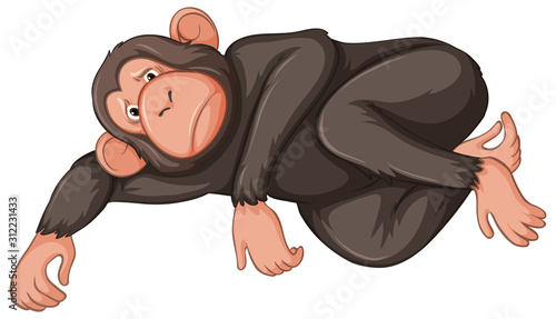 Sad monkey on white background