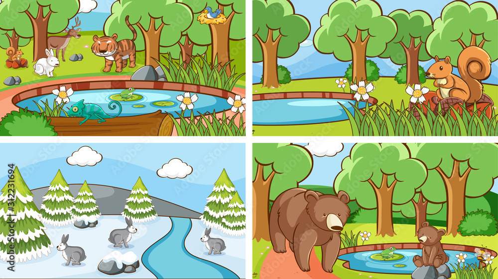 Background scenes of animals in the wild Background scenes of animals in the wild