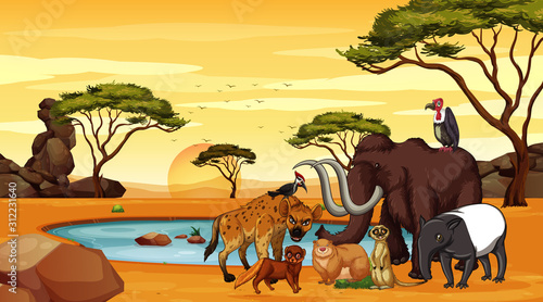Scene with many animals at the savanna