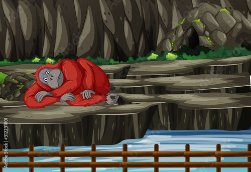 Scene with gorilla sleeping at the zoo
