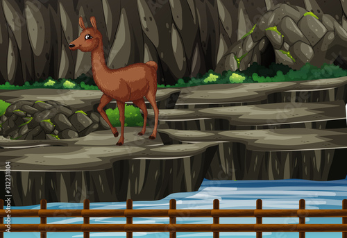 Scene with brown alpaca at the zoo