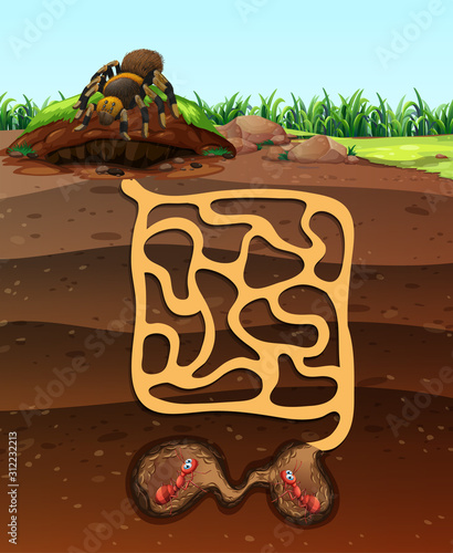 Landscape design with ants underground