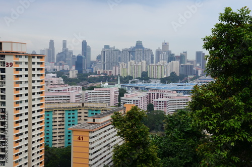 Blick auf Singapur - vom Bukit Timah Nature Reserve photo