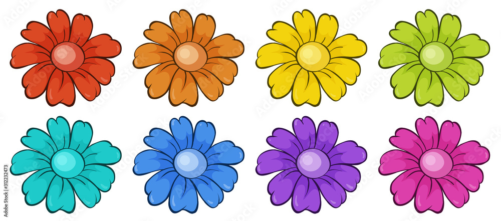 Isolated set of flowers Isolated set of flowers